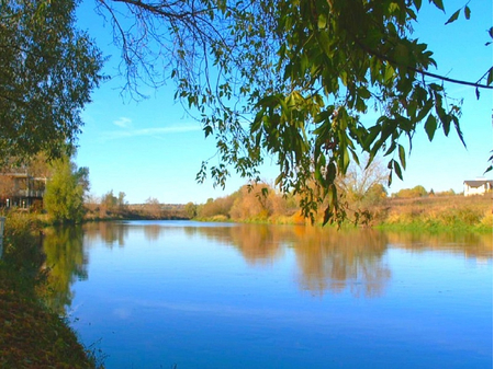 Санаторий «Введенское», Московская обл, изображение 22