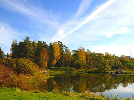 Санаторий «Введенское», Московская обл, изображение 24