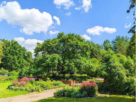 Санаторий «Введенское», Московская обл, изображение 28