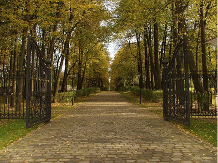 Санаторий «Введенское», Московская обл, изображение 31