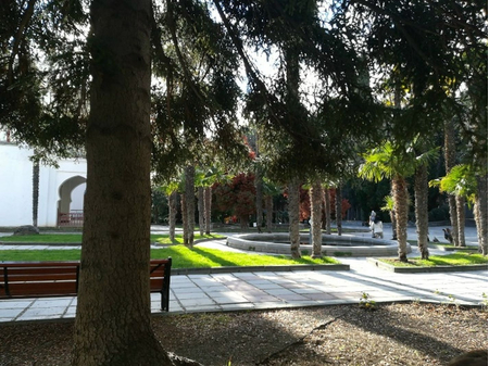 Санаторий «Дюльбер», Ялта, изображение 43