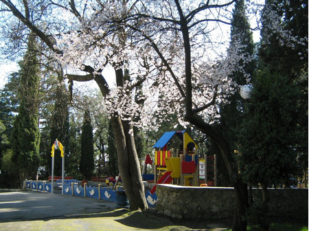 Санаторий «Белоруссия», Ялта, изображение 72