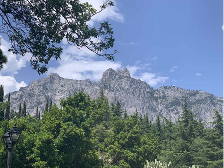 Санаторий «Белоруссия», Ялта, изображение 76