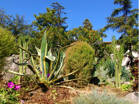 Санаторий «Мечта», Евпатория, изображение 27