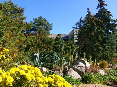 Санаторий «Мечта», Евпатория, изображение 28