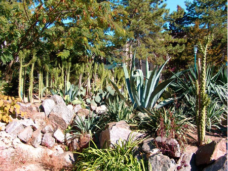 Санаторий «Мечта», Евпатория, изображение 29