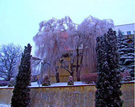 Санаторий «Горный Воздух», Железноводск, изображение 48