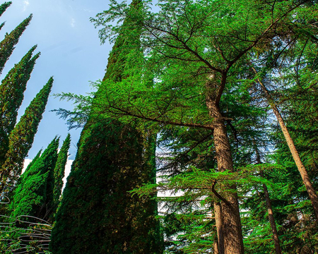 Санаторий «Алушта», Алушта, изображение 115