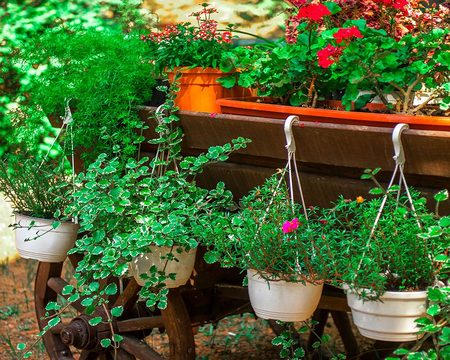 Санаторий «Алушта», Алушта, изображение 117