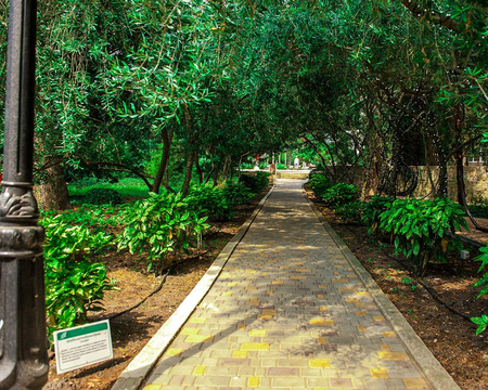 Санаторий «Алушта», Алушта, изображение 123