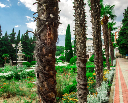 Санаторий «Алушта», Алушта, изображение 134