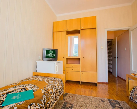 Номер Двухместный номер "ЭКОНОМ" (корп. 5) - Санаторий «Алушта», Алушта - 1