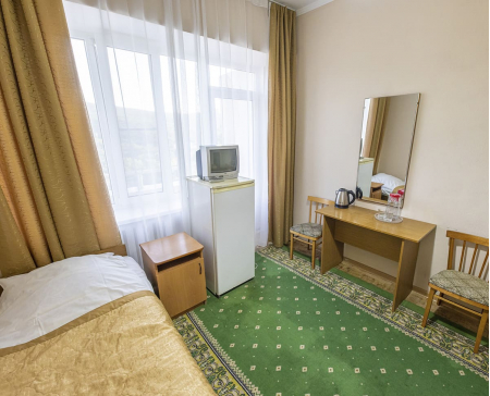 Стандарт двухместный однокомнатный 3 категории_4 - Санаторий «им. Эрнста Тельмана», Железноводск 2⭐