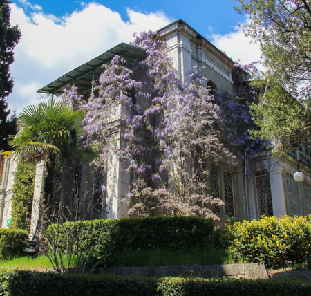 Санаторий «Кирова», Ялта, изображение 42