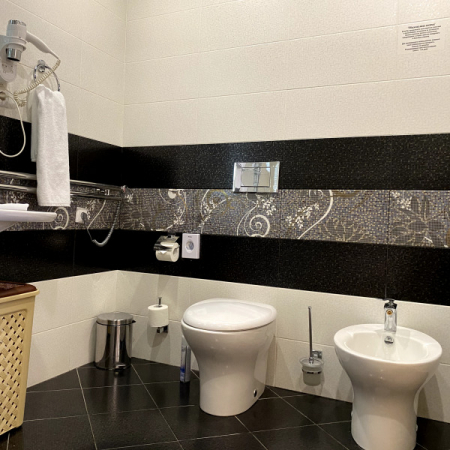 Номер Студия Люкс - Санаторий «Целебный Нарзан», Кисловодск - 17