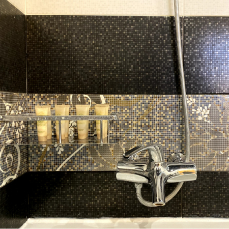 Номер Студия Люкс - Санаторий «Целебный Нарзан», Кисловодск - 18