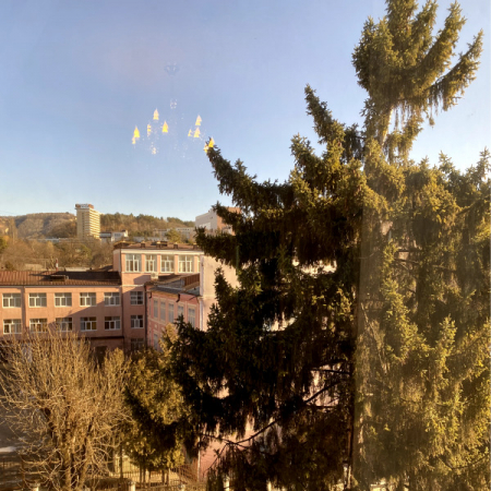 Номер Студия Люкс - Санаторий «Целебный Нарзан», Кисловодск - 23