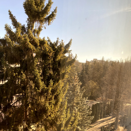 Номер Студия Люкс - Санаторий «Целебный Нарзан», Кисловодск - 26