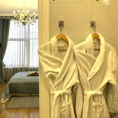 Номер Прованский Люкс - Санаторий «Целебный Нарзан», Кисловодск - 27