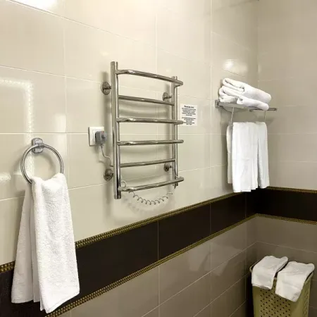 Номер Посольский Люкс - Санаторий «Целебный Нарзан», Кисловодск - 15