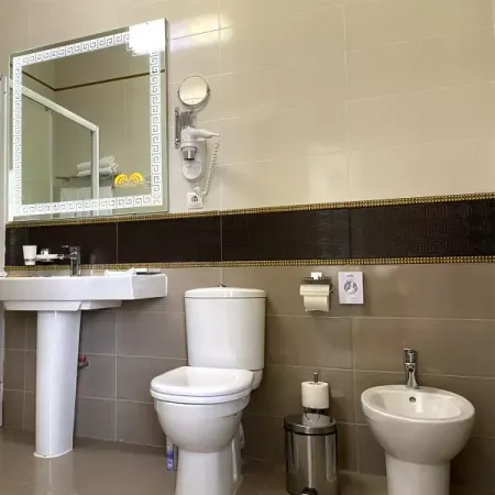 Номер Посольский Люкс - Санаторий «Целебный Нарзан», Кисловодск - 16