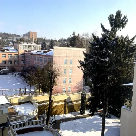 Номер Посольский Люкс - Санаторий «Целебный Нарзан», Кисловодск - 19