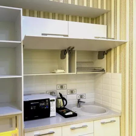 Номер Синдика Люкс - Санаторий «Целебный Нарзан», Кисловодск - 11