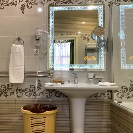 Номер Синдика Люкс - Санаторий «Целебный Нарзан», Кисловодск - 16