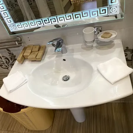 Номер Синдика Люкс - Санаторий «Целебный Нарзан», Кисловодск - 17