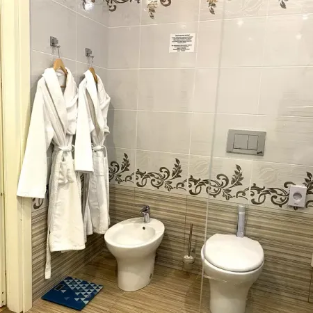 Номер Синдика Люкс - Санаторий «Целебный Нарзан», Кисловодск - 18