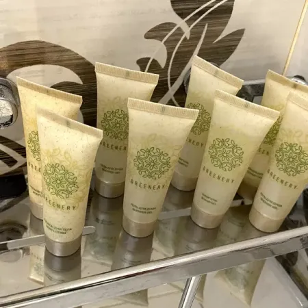 Номер Синдика Люкс - Санаторий «Целебный Нарзан», Кисловодск - 19