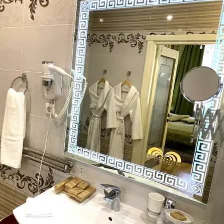 Номер Синдика Люкс - Санаторий «Целебный Нарзан», Кисловодск - 21