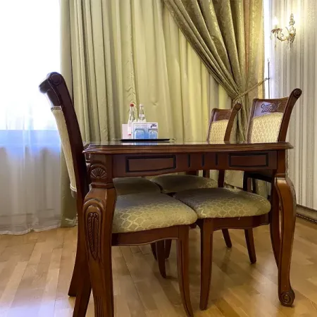 Номер Синдика Люкс - Санаторий «Целебный Нарзан», Кисловодск - 22