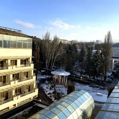 Номер Синдика Люкс - Санаторий «Целебный Нарзан», Кисловодск - 27
