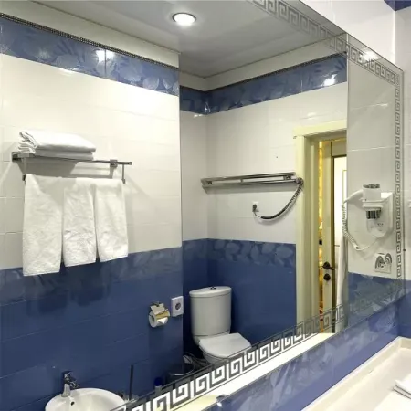 Номер Королевский Люкс - Санаторий «Целебный Нарзан», Кисловодск - 16