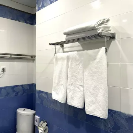 Номер Королевский Люкс - Санаторий «Целебный Нарзан», Кисловодск - 17