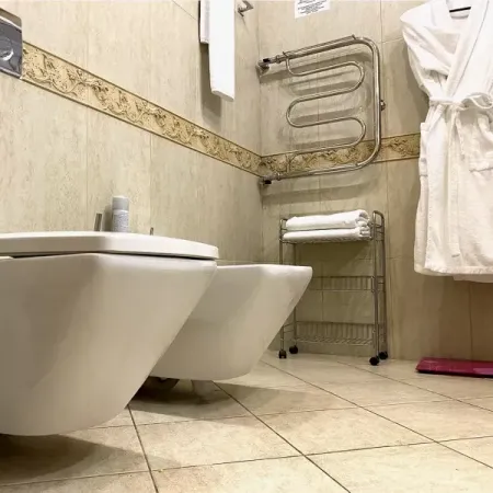 Номер Апартаменты - Санаторий «Целебный Нарзан», Кисловодск - 18