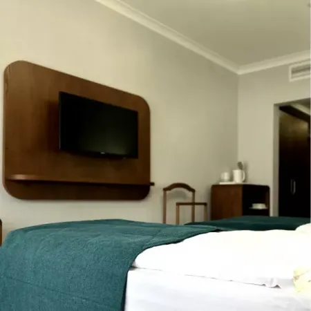 Номер Стандарт Бизнес - Санаторий «Целебный Нарзан», Кисловодск - 3