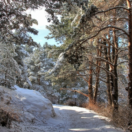 Санаторий «Нарзан», Кисловодск, изображение 18