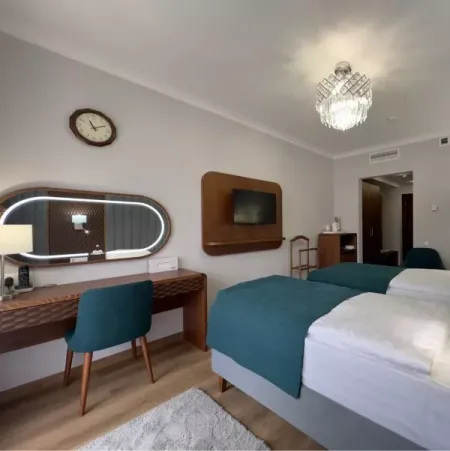 Номер Стандарт Бизнес - Санаторий «Целебный Нарзан», Кисловодск - 7