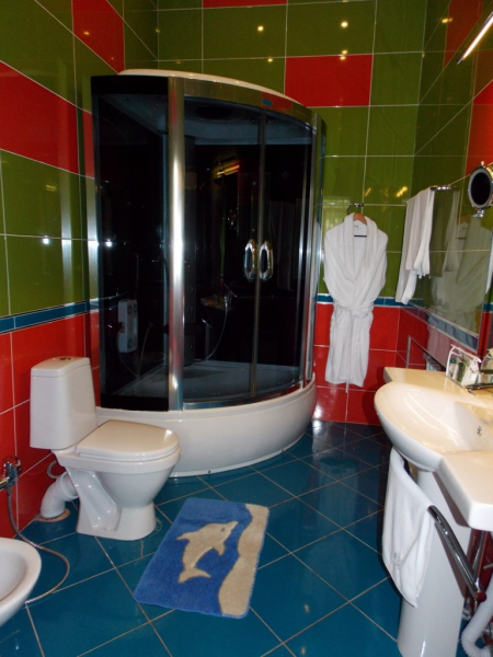 Санаторий «Металлург», Ессентуки, изображение 62