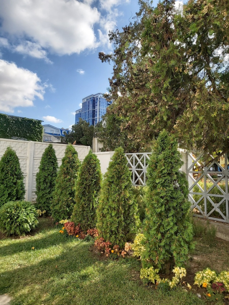 Санаторий «ДиЛУЧ», Анапа, изображение 46