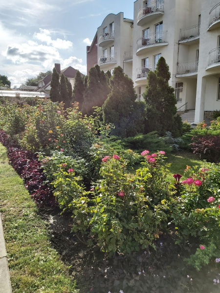 Санаторий «ДиЛУЧ», Анапа, изображение 47