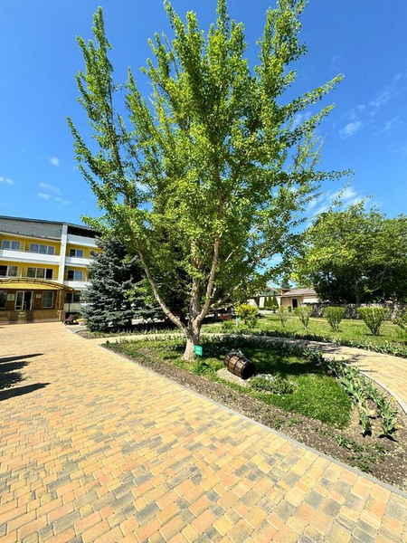 Санаторий «Русь», Горячий Ключ, изображение 50