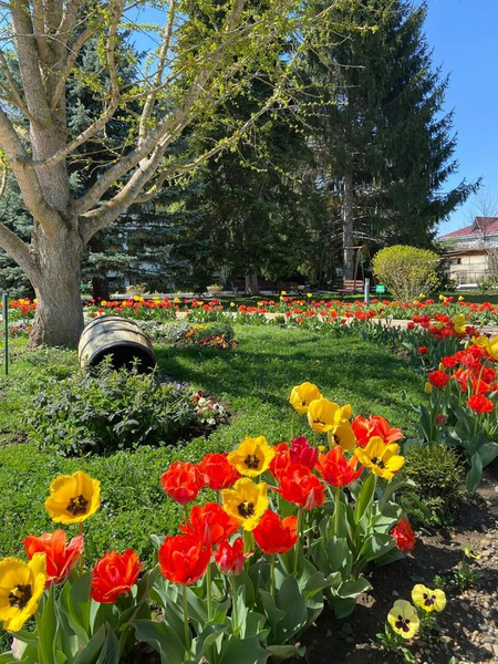 Санаторий «Русь», Горячий Ключ, изображение 11