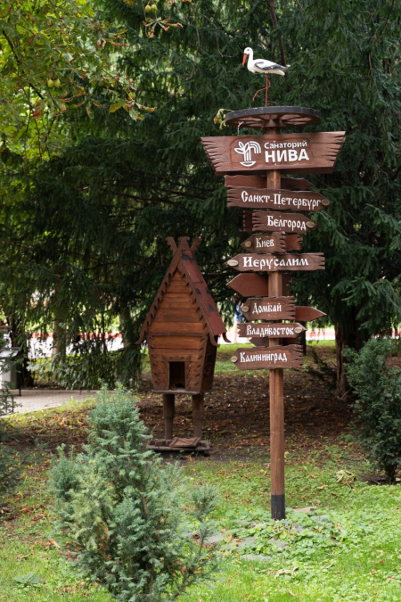 Санаторий «Нива», Ессентуки, изображение 75 Санаторий «Нива», Ессентуки, изображение 75