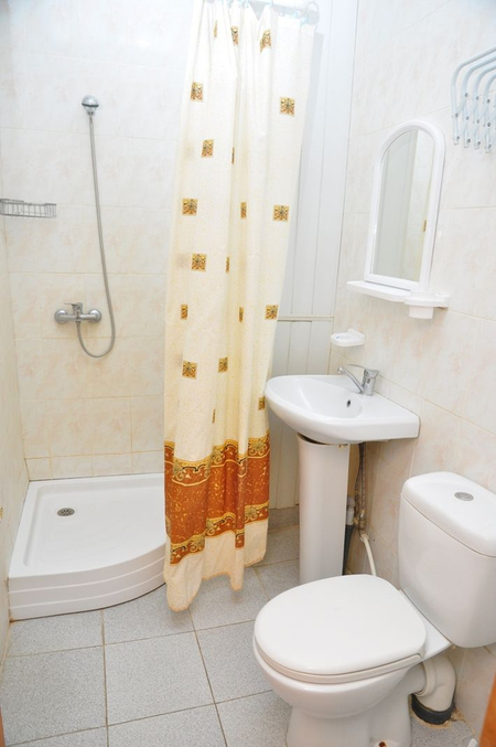 Номер Стандарт двухместный (2к2м1к1) - Санаторий «Нарзан», Кисловодск - 3