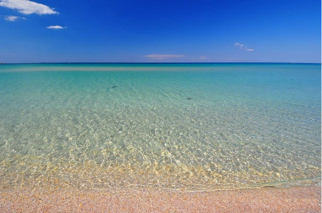 Санаторий «Мечта», Евпатория, изображение 5