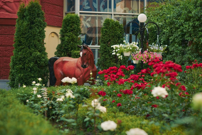 Территория