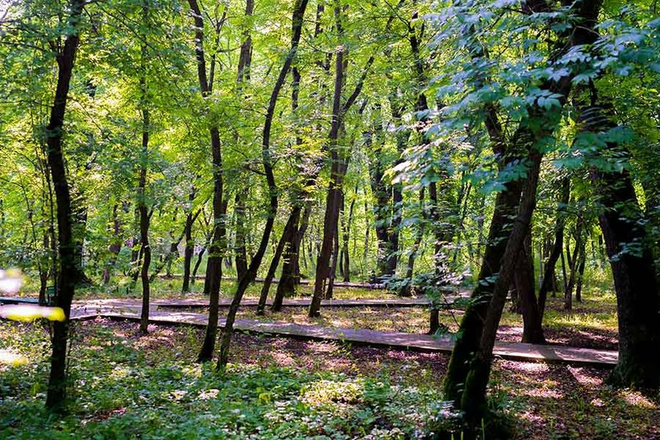 Санаторий &laquo;Долина Нарзанов&raquo;, Железноводск, изображение 11